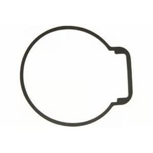 GASKET, FLOAT CHAMBER