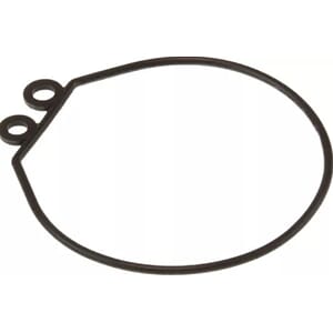 GASKET, FLOAT CHAMBER