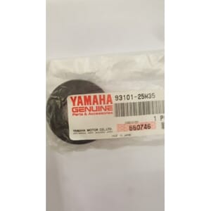 OIL SEAL(6A4)