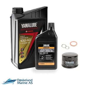 Yamaha Kodiak 700 (2016->) 1-gangs service