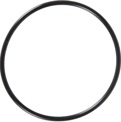 932105763400 o-ring.jpg