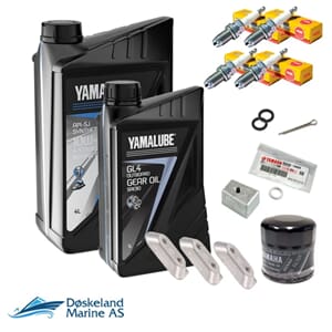 Service Kit Yamaha F60C - 1 År ( 100 Timer)
