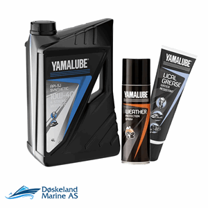 Servicekit Yamaha FZR SVHO - (10t / 50t)